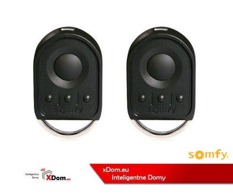 Somfy 1216269 Dexxo Pro 800 PB RTS (2 piloty Keygo) - Zestaw napędu do bram garażowych.