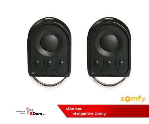 Somfy 1216325 Dexxo Pro 1000 io (2 piloty Keygo) - Zestaw napędu do bram garażowych.