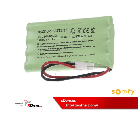 Somfy 1216310 Ixengo S 24V Comfort Pack (2 piloty 4-kanałowe Keygo, lampa z anteną, fotokomórki, akumulator)