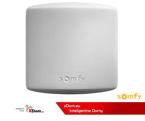 Somfy 2400583 ZEWNĘTRZNY ODBIORNIK RADIOWY DO OŚWIETLENIA RTS 500 W