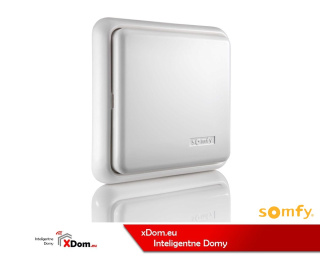 Somfy 2401073 WEWNĘTRZNY ODBIORNIK RADIOWY DO OŚWIETLENIA RTS 500W