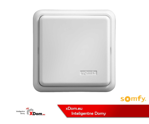 Somfy 2401073 WEWNĘTRZNY ODBIORNIK RADIOWY DO OŚWIETLENIA RTS 500W