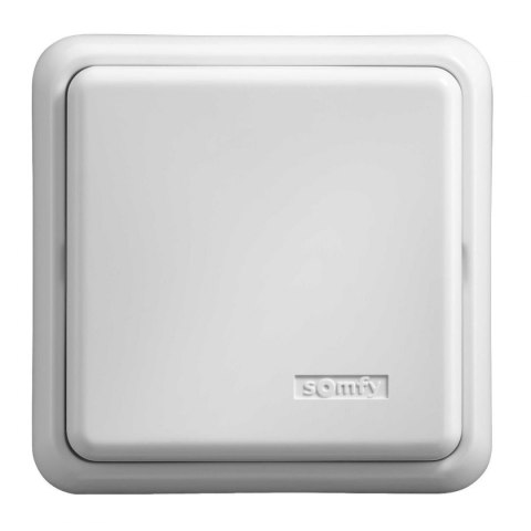 Somfy 2401073 WEWNĘTRZNY ODBIORNIK RADIOWY DO OŚWIETLENIA RTS 500W