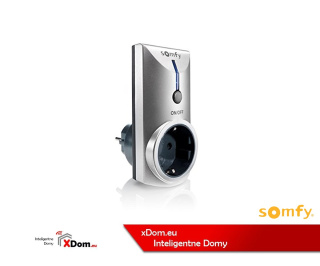 Somfy 2401150 GNIAZDO RTS - 3600 W WEWNĘTRZNE, TYP F