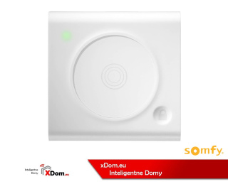 Somfy 2401554 CZYTNIK KART MAGNETYCZNYCH ZAMKA DOORLOCK