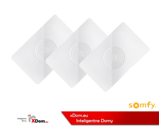 Somfy 2401401 - 3 KARTY MAGNETYCZNE DO ZAMKA STEROWANEGO SMARTFONEM DOOR LOCK