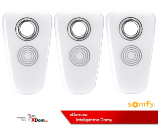 Somfy 2401402 - 3 KARTY MAGNETYCZNE BRELOCZEK DO KLUCZY DO ZAMKA STEROWANEGO SMARTFONEM DOOR LOCK