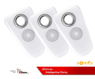 Somfy 2401402 - 3 KARTY MAGNETYCZNE BRELOCZEK DO KLUCZY DO ZAMKA STEROWANEGO SMARTFONEM DOOR LOCK