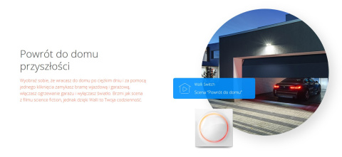 Fibaro Inteligentny włącznik Walli Switch