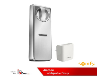 Somfy 1811699 ZESTAW: BRAMKA INTERNETOWA/ZAMEK STEROWANY SMARTFONEM DOORLOCK DO DRZWI STANDARDOWYCH, WKŁADKA 7 CM