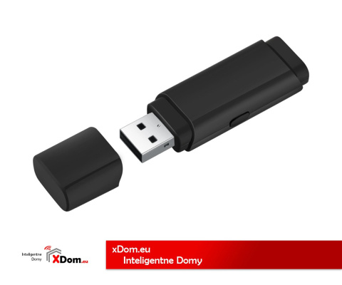 Mini kamera szpiegowska 1080P schowana w PENDRIVE USB U10