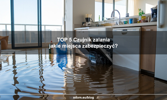 Top 5 dla czujnika zalania, które miejsca musisz mieć zabezpieczone w swoim domu